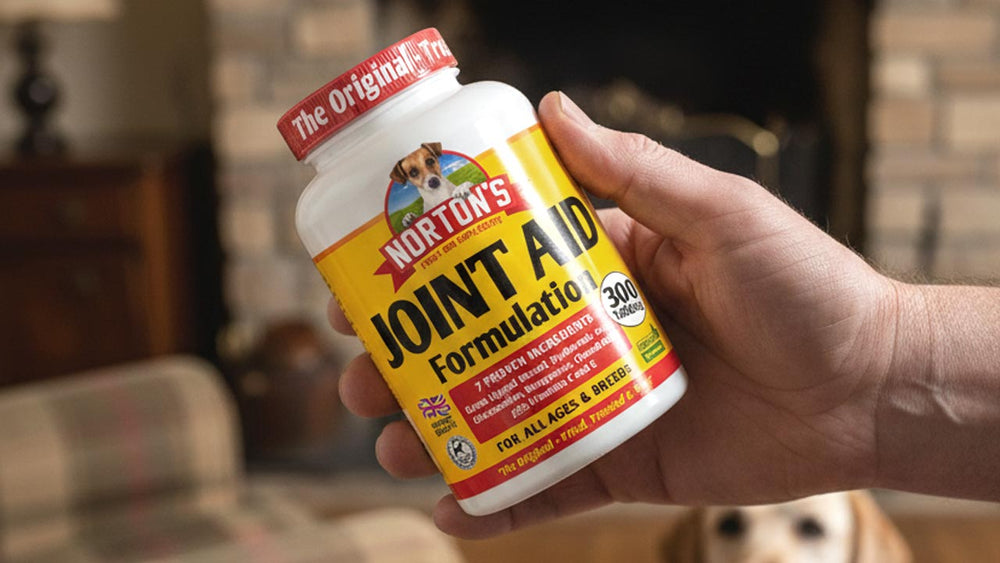 Norton’s Joint Aid pot held in a man’s hand, showing the 300-tablet pack chosen by UK dog owners