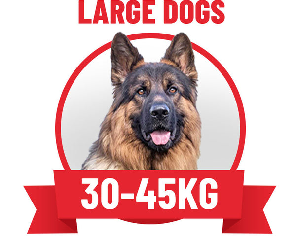 Large Dogs