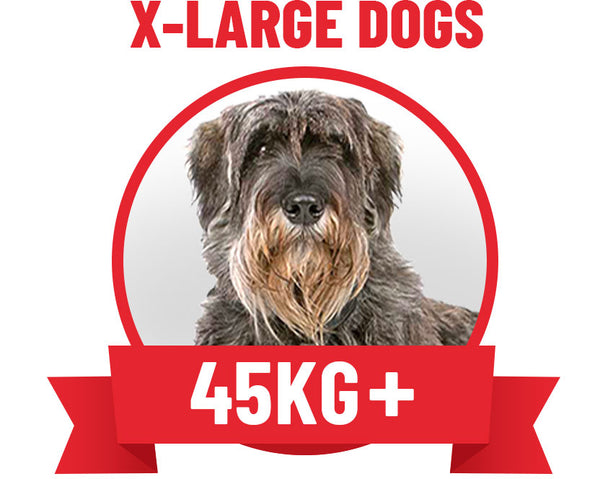 X-Large Dogs