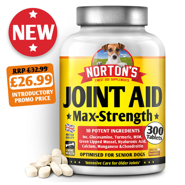 Norton's Joint Aid Max-Strength
