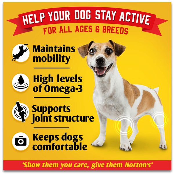 Norton’s Joint Aid for Dogs - 300 Tablets