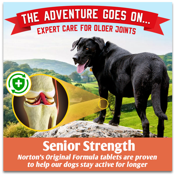 Norton’s Joint Aid Formulation