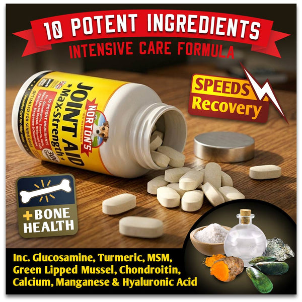 Norton's Joint Aid Max-Strength