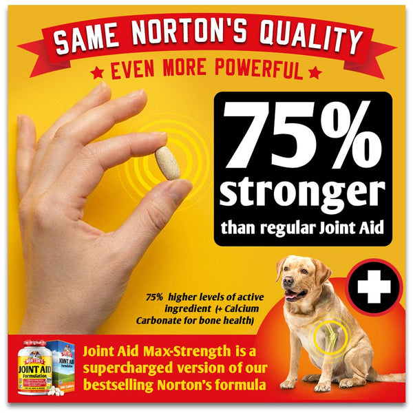 Norton's Joint Aid Max-Strength