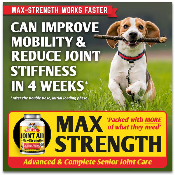 Norton's Joint Aid Max-Strength
