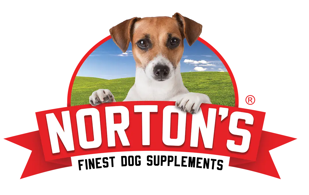 Nortons